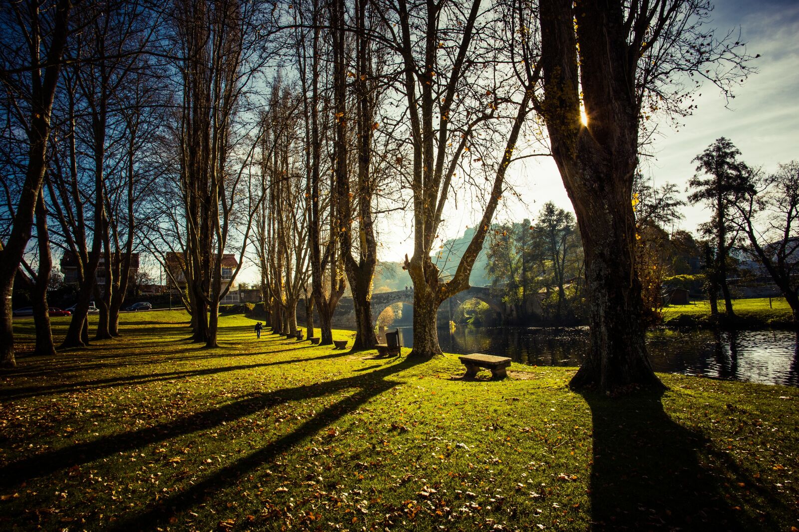 Nikon D800 sample photo. Allariz, park, forest photography