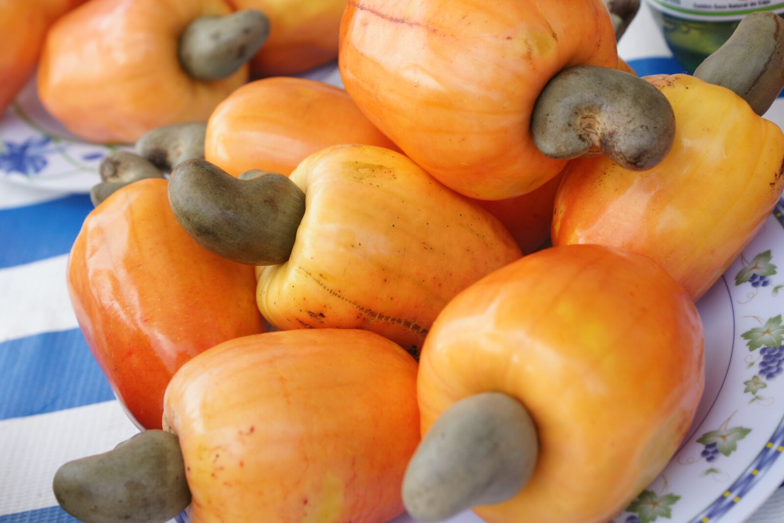 Sony Alpha DSLR-A700 sample photo. Cashew, christmas, great river photography