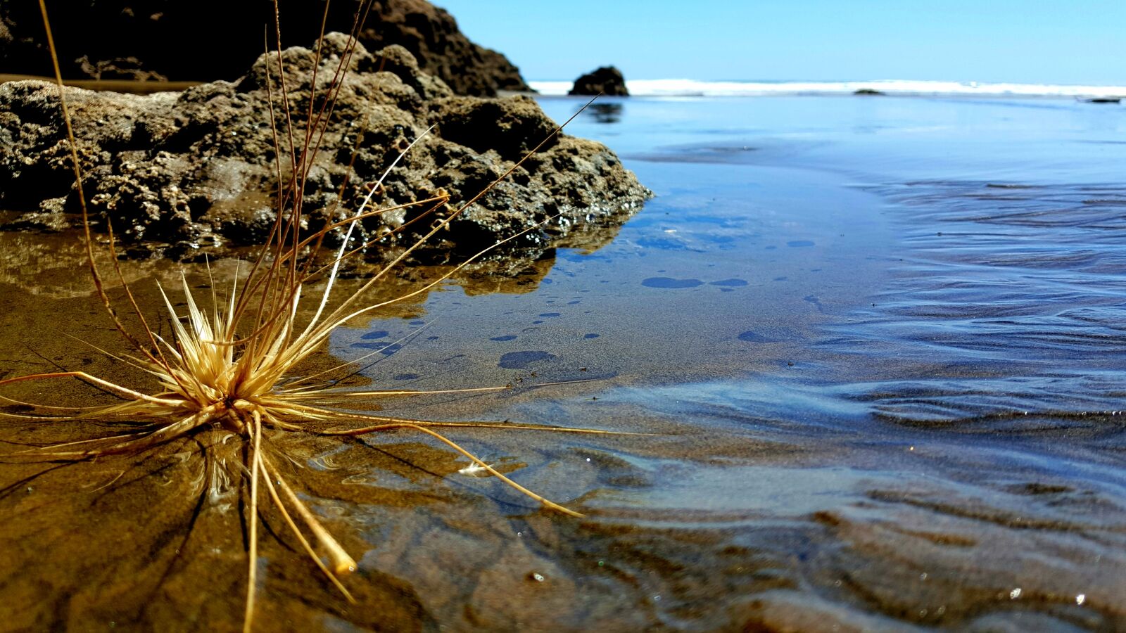 Samsung Galaxy Note5 sample photo. Beach, bethells bay, water photography