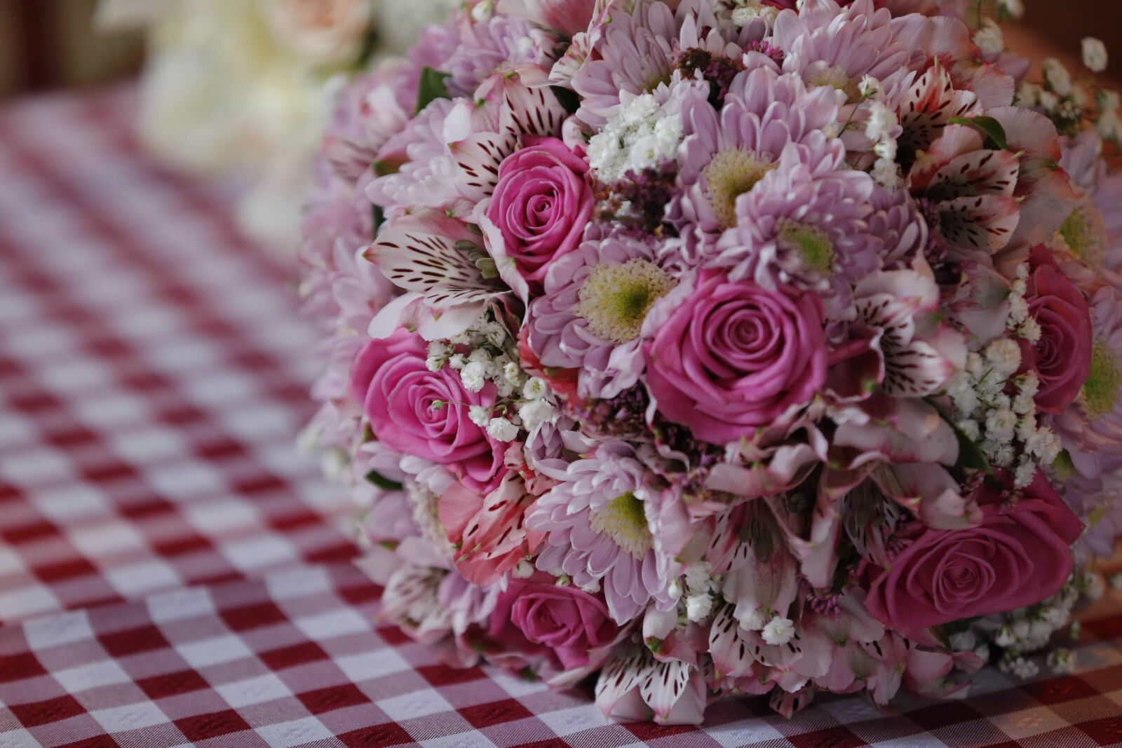 Canon EOS 5D Mark III sample photo. Bouquet, flower, gift, petals photography