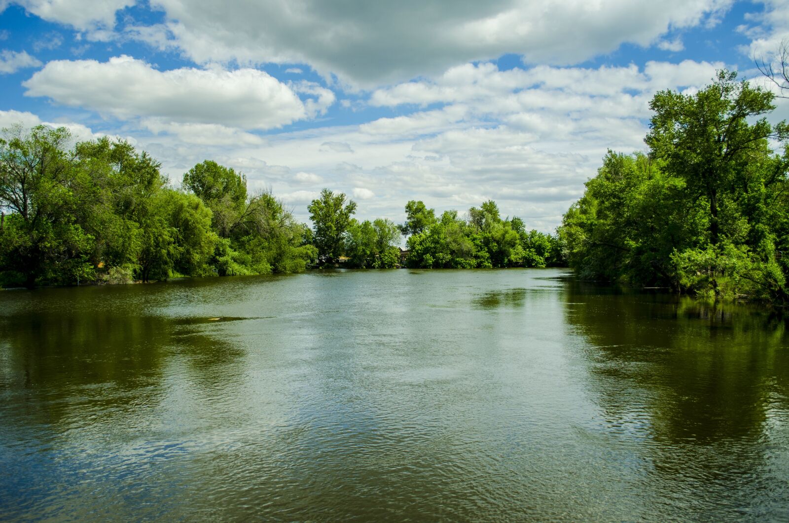 Nikon D5100 sample photo. Akhtuba, astrahanskaia, spring photography