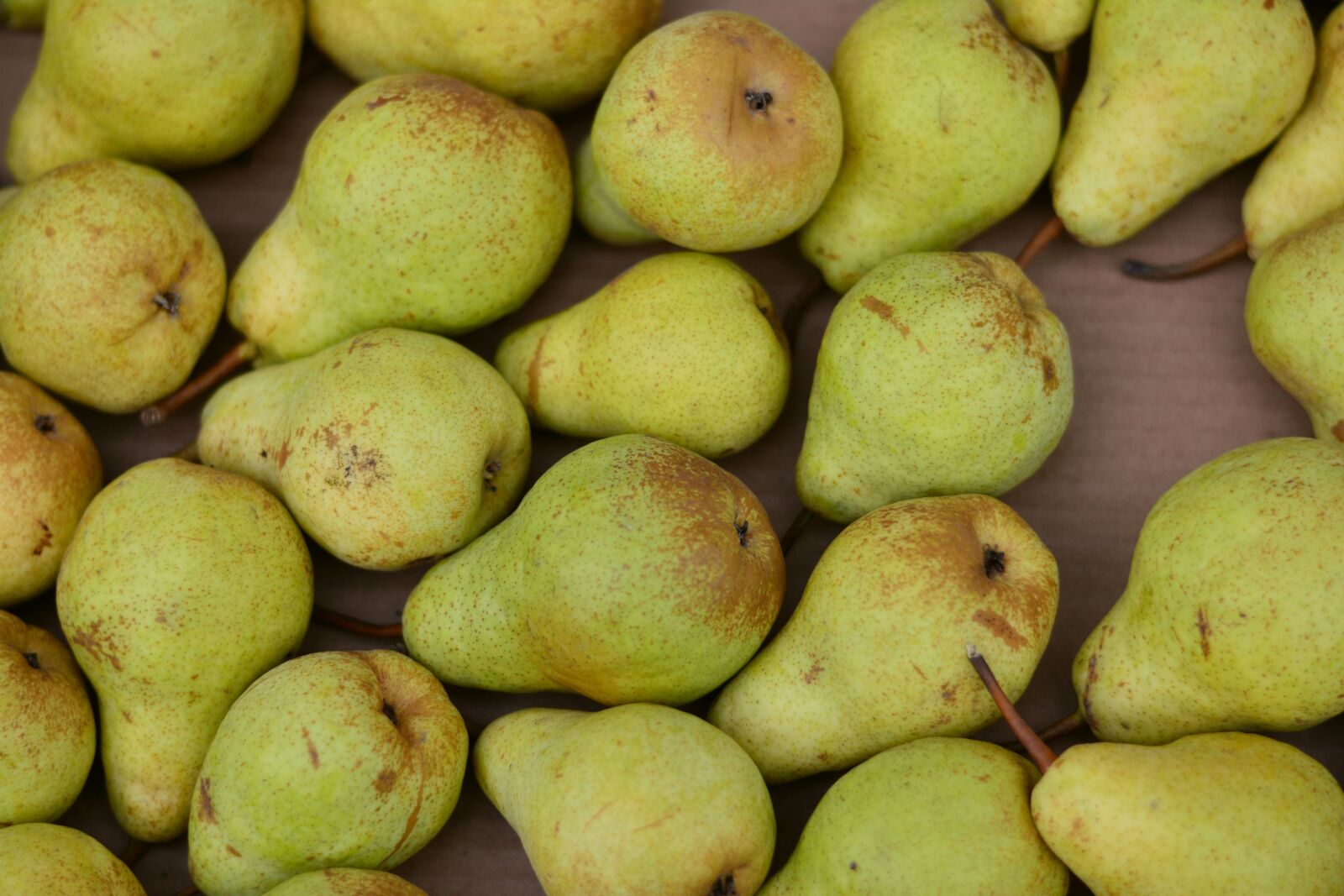 Nikon D5200 sample photo. Pears, fruit, fruits photography