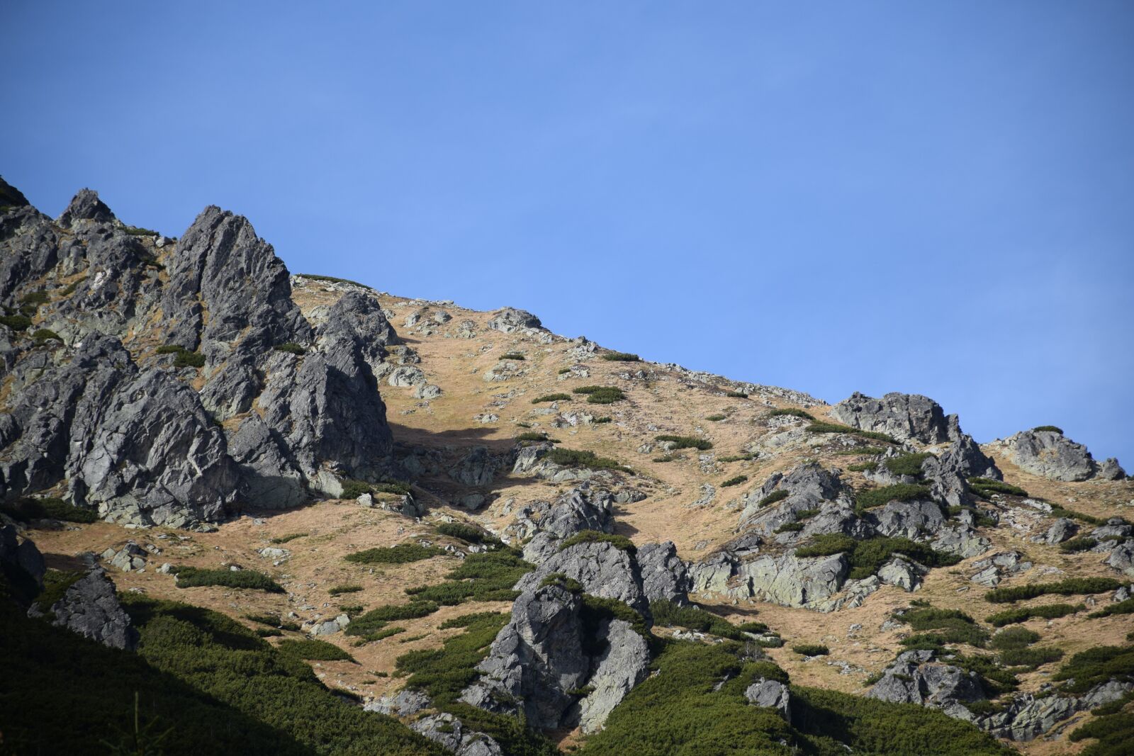Nikon D3300 sample photo. Poland, mountain, tatra mountains photography