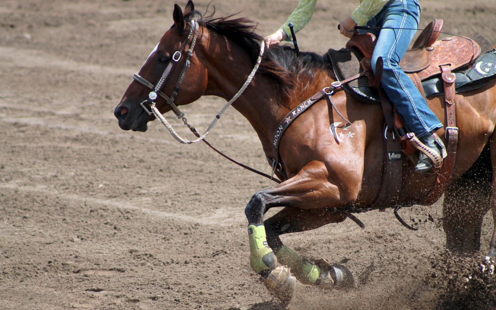 Canon EOS 1100D (EOS Rebel T3 / EOS Kiss X50) sample photo. Cowboy, horse photography