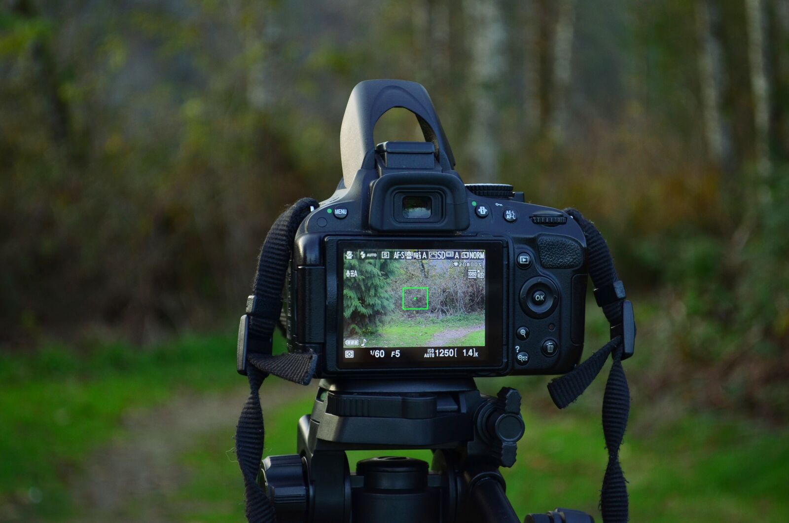 Nikon D5100 sample photo. Camera, filming, videography photography