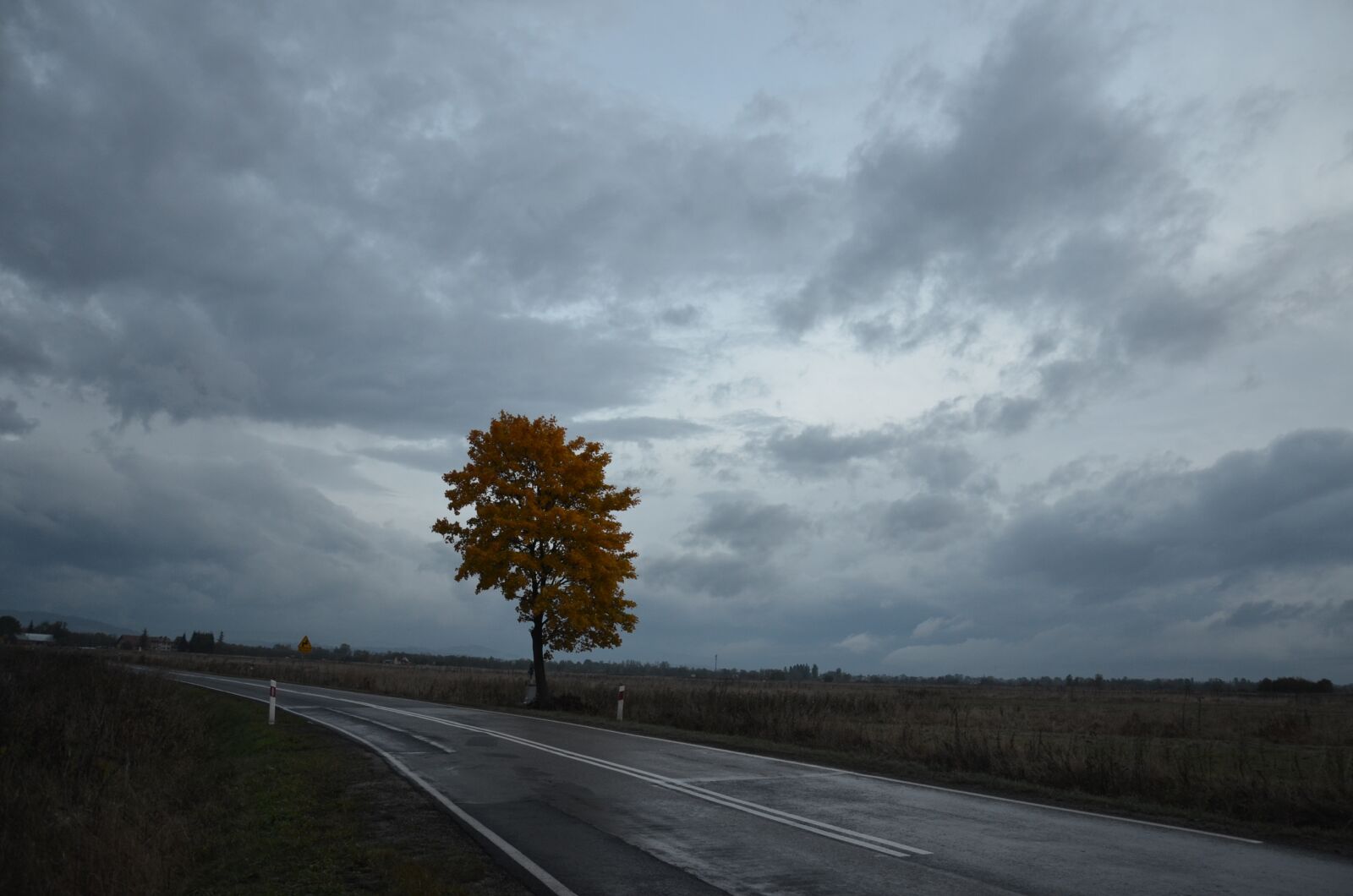 Nikon D5100 sample photo. Nature, landscape, at the photography
