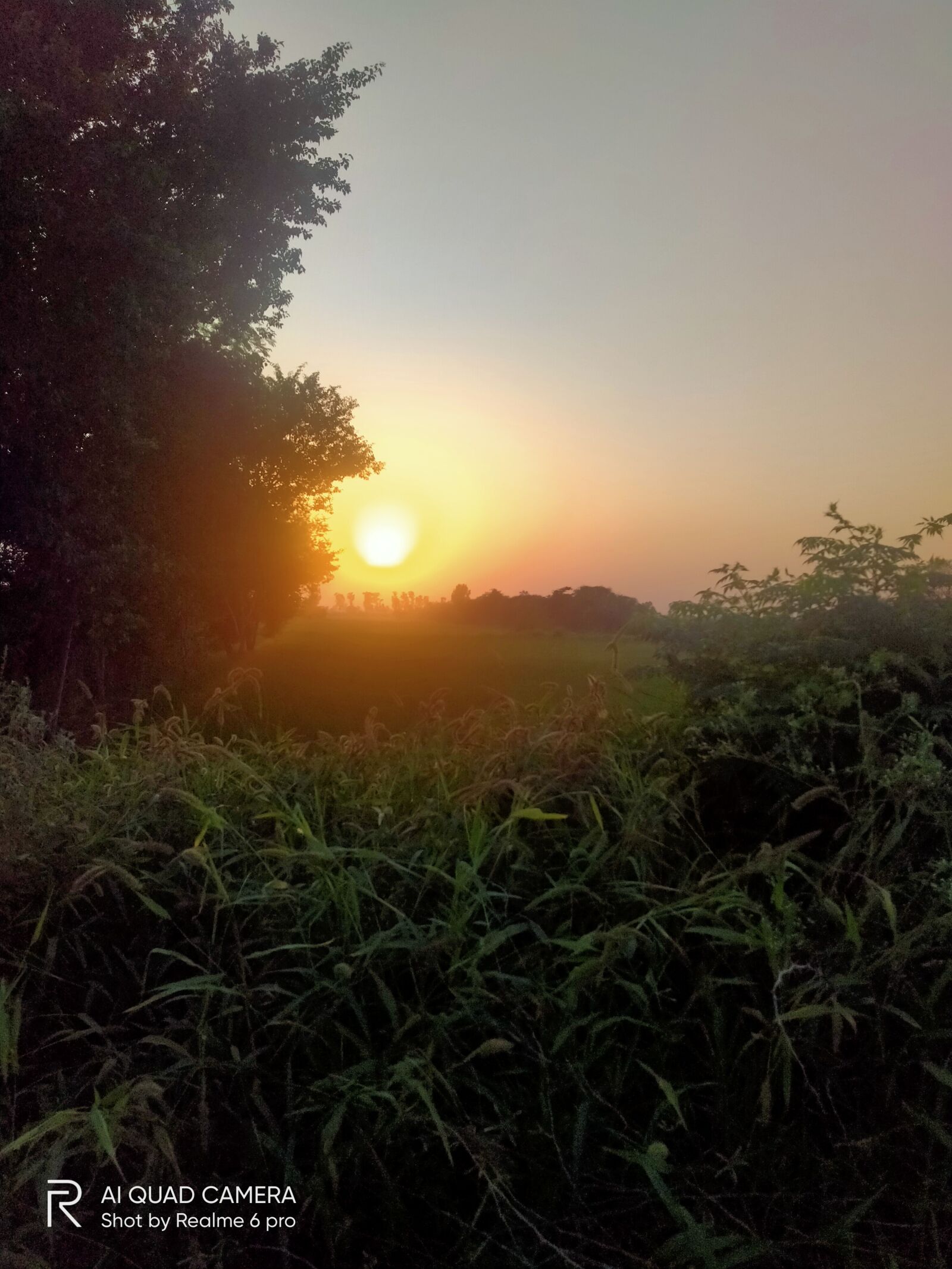 Realme 5I sample photo