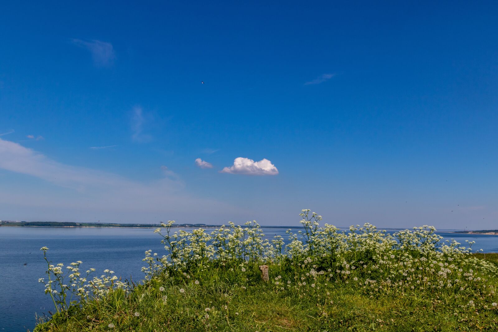 Canon EOS 750D (EOS Rebel T6i / EOS Kiss X8i) + Canon TS-E 90mm F2.8 Tilt-Shift sample photo. Cloud, sky, blue photography