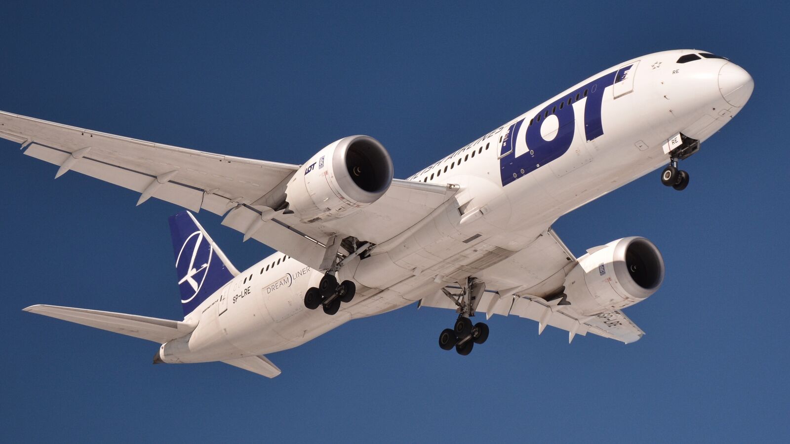 Nikon D7100 sample photo. The plane, aircraft, a photography