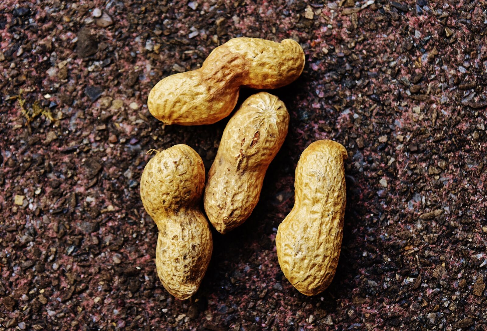 Nikon D7200 sample photo. Peanuts, shell, food photography
