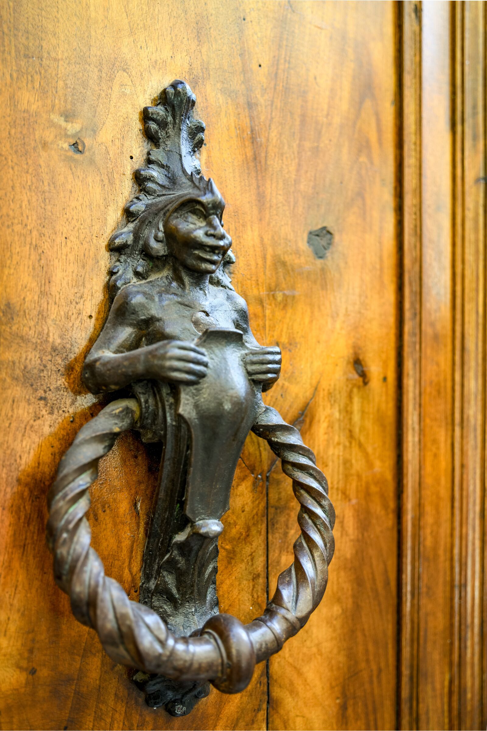 Nikon D850 sample photo. Doorknocker, antique, design photography