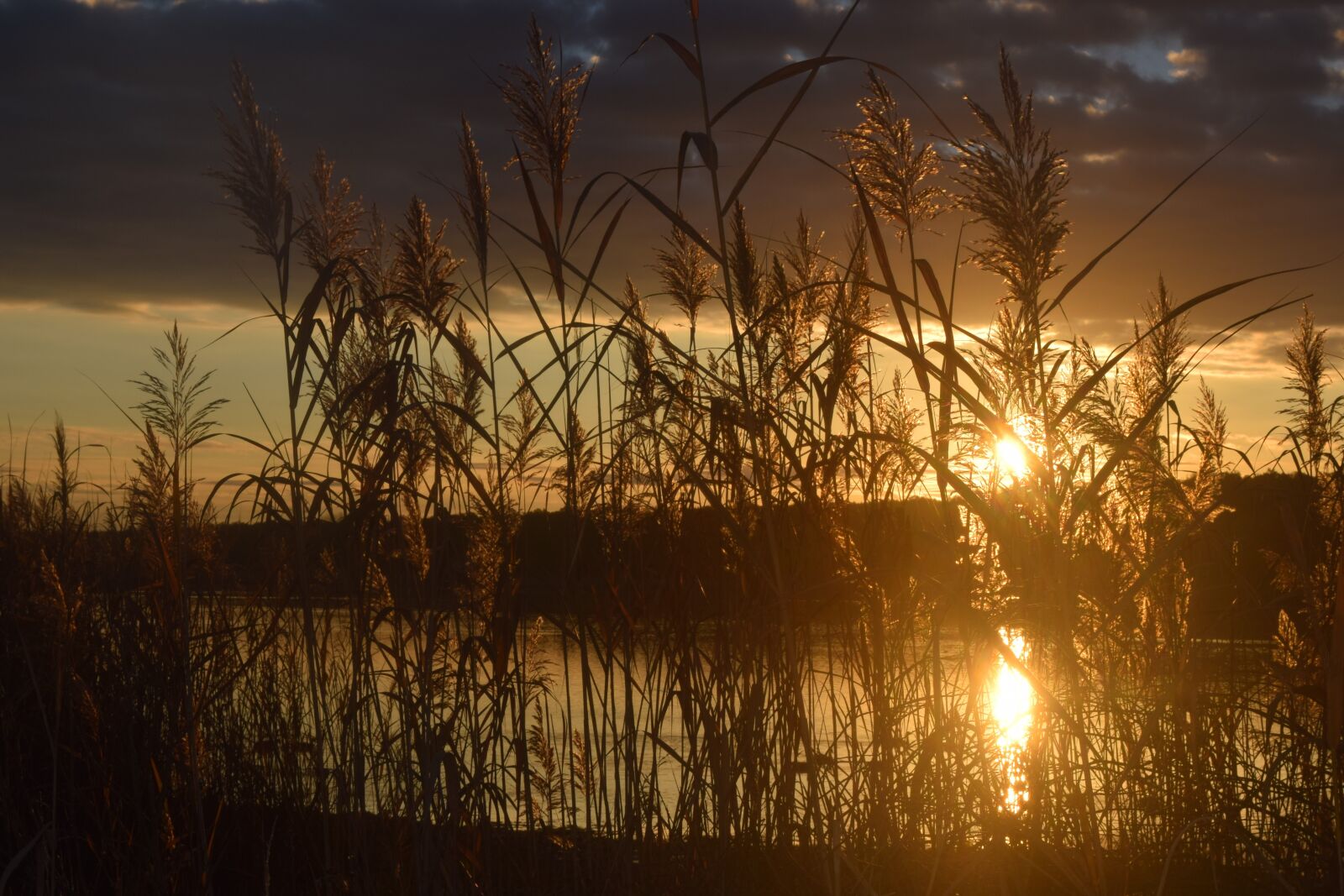 Nikon D5300 sample photo. Lake, nature, landscape photography