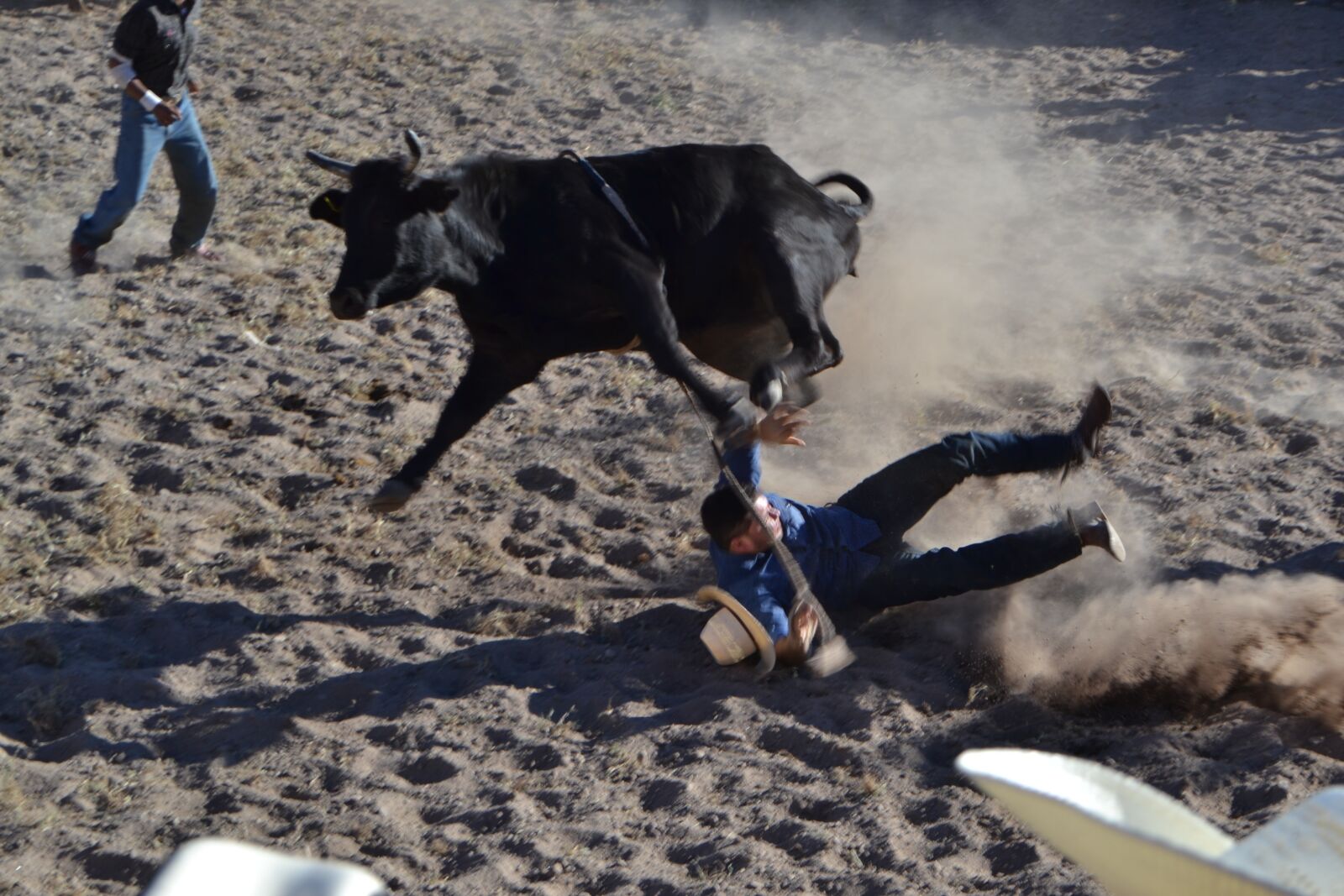 Nikon D3100 sample photo. Rodeo, fall, dust photography