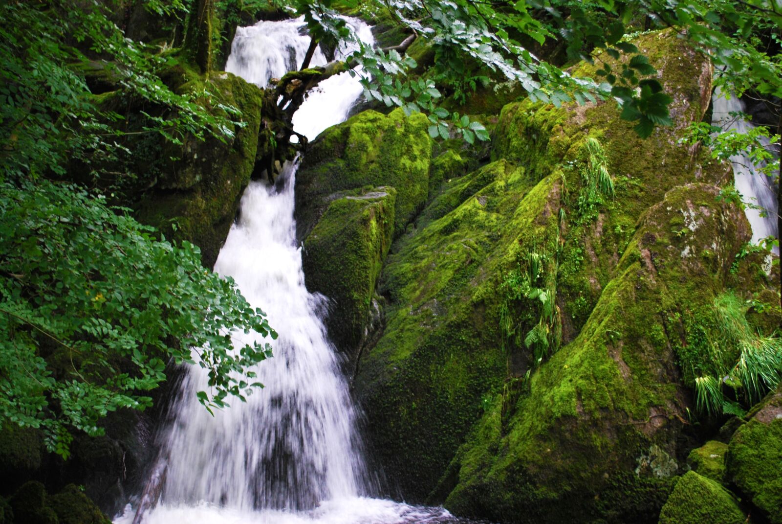 Nikon D60 sample photo. Waterfall, nature, landscape photography