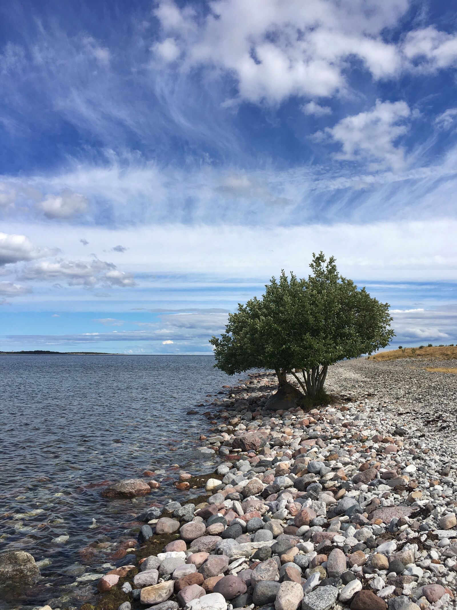 Apple iPhone 6s sample photo. Sweden, gotland, blue sky photography