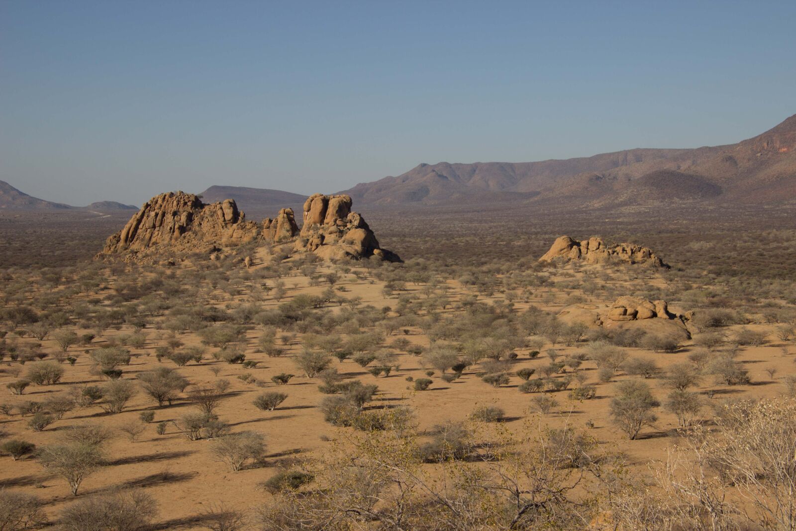 Canon EOS 600D (Rebel EOS T3i / EOS Kiss X5) sample photo. Africa, namibia, savannah photography