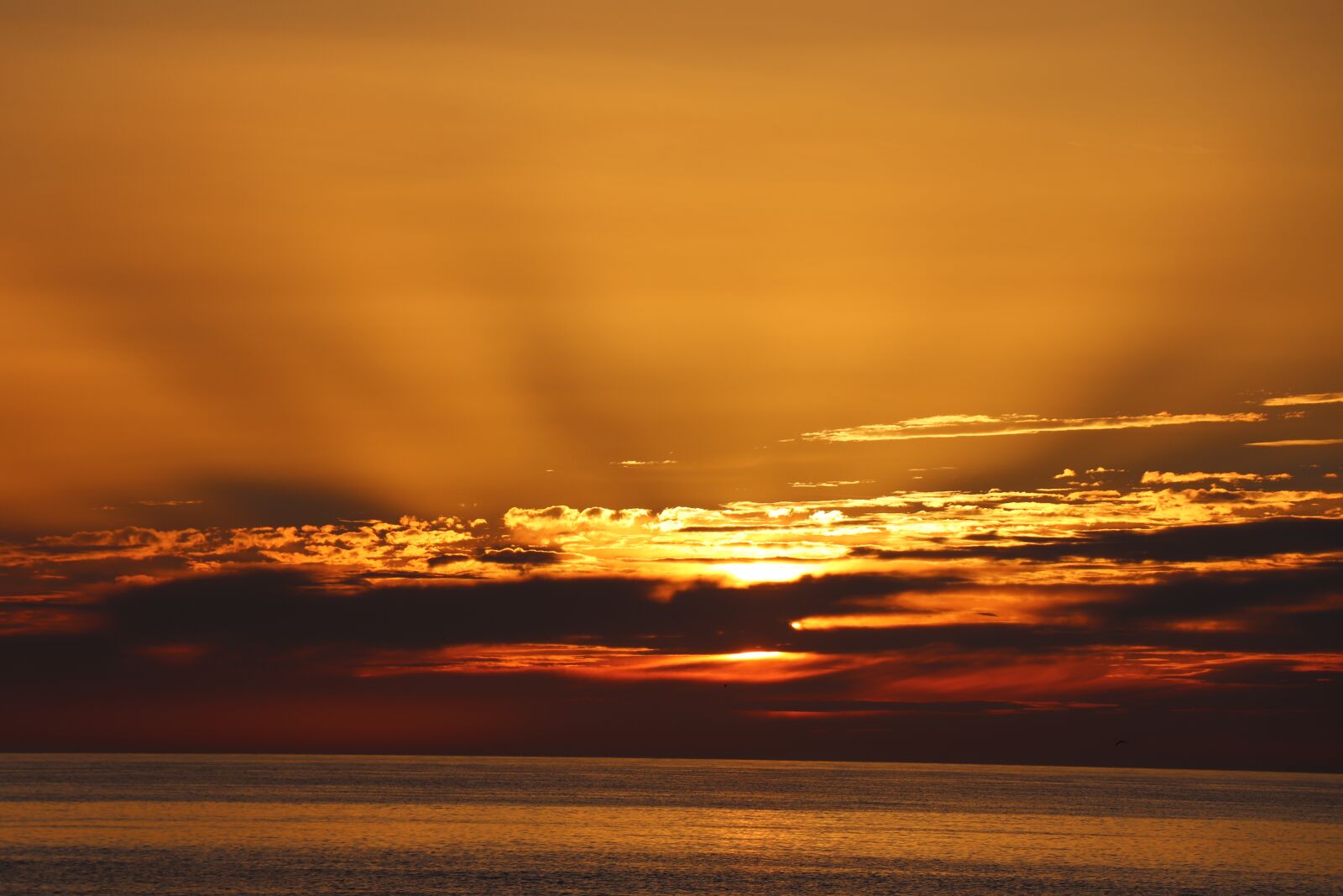 Canon EOS 77D (EOS 9000D / EOS 770D) sample photo. Texel, sunset, beach photography
