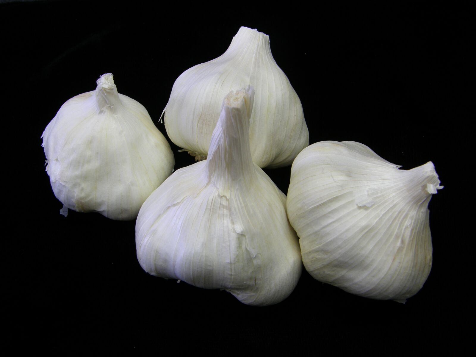 Olympus SP550UZ sample photo. Garlic, food, vegetable photography