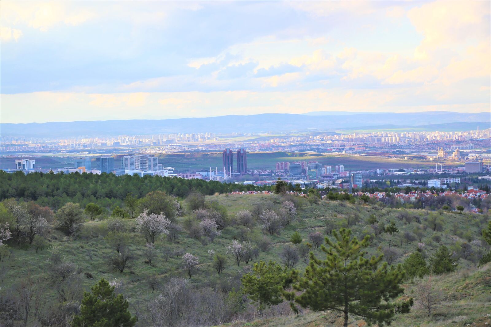 Canon EF 24-105mm F4L IS USM sample photo. Panoramic, nature, travel photography