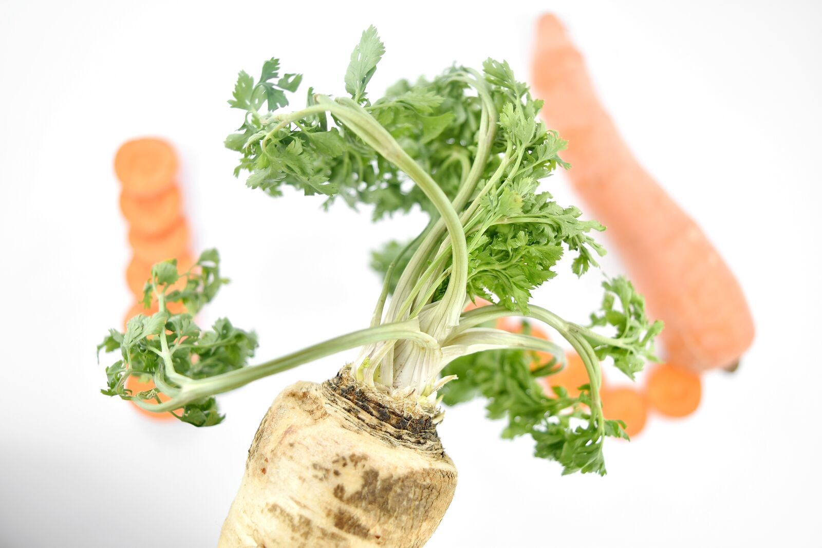 Nikon D5500 sample photo. Agriculture, carrot, close-up, green photography