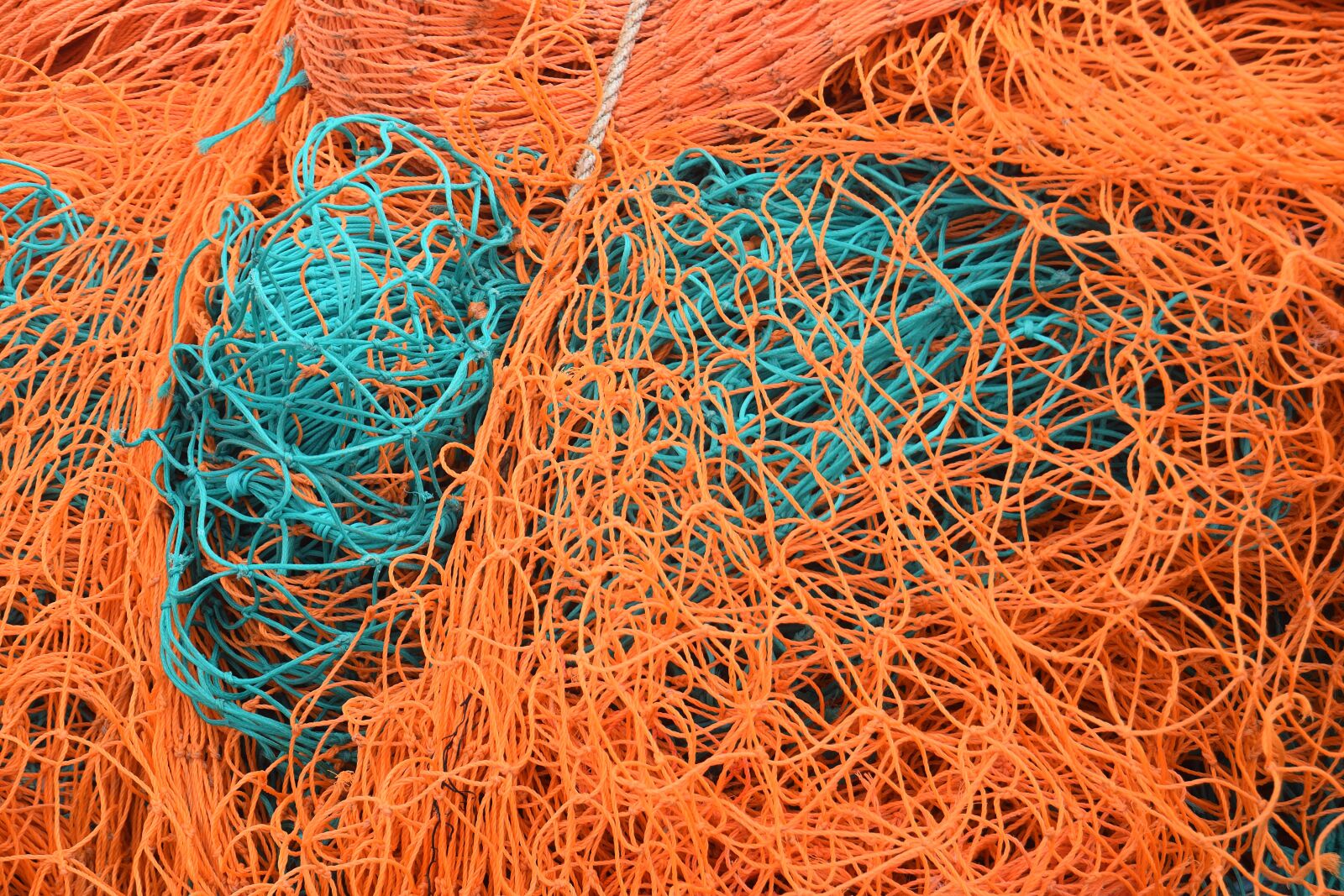 Nikon D3300 sample photo. Nets, fishing, catch photography