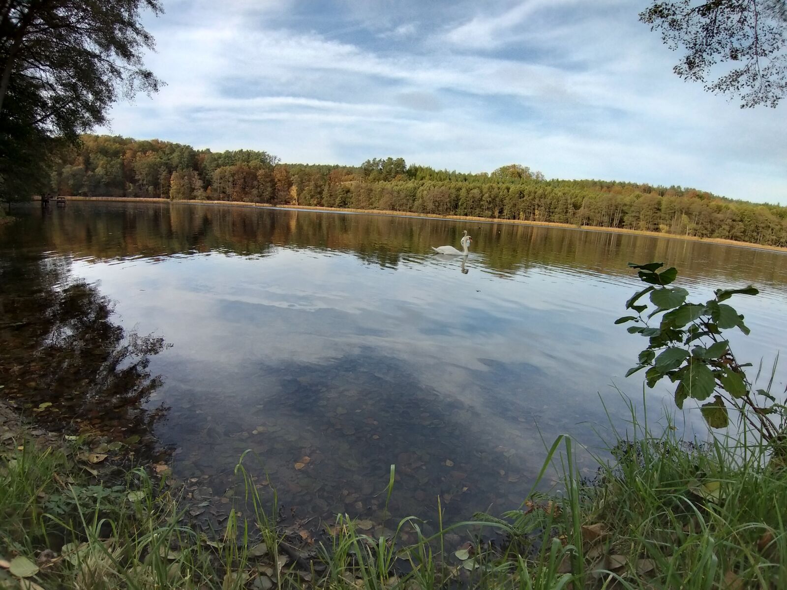 Samsung Galaxy A9 (2018) sample photo. Lake, green, landscape photography