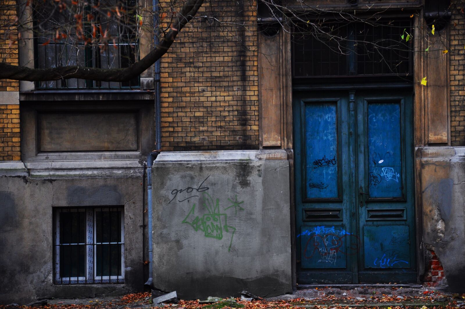 Nikon D5000 sample photo. Blue door, the door photography