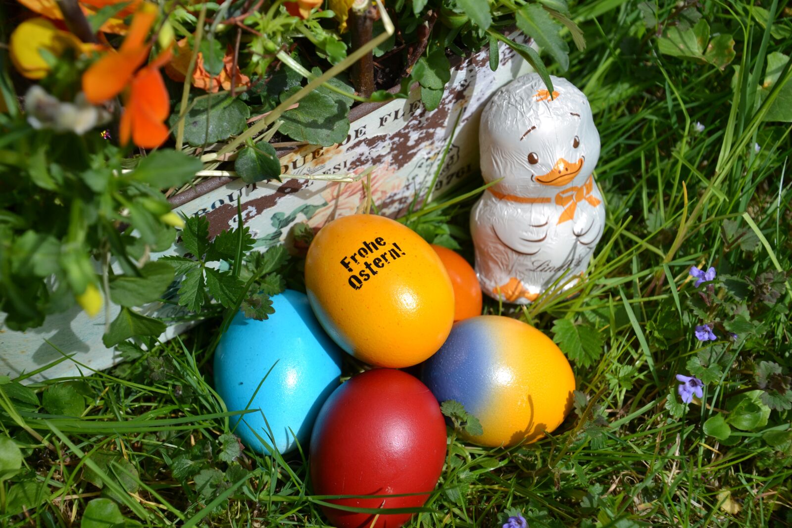 Nikon D3100 sample photo. Easter eggs, easter chick photography