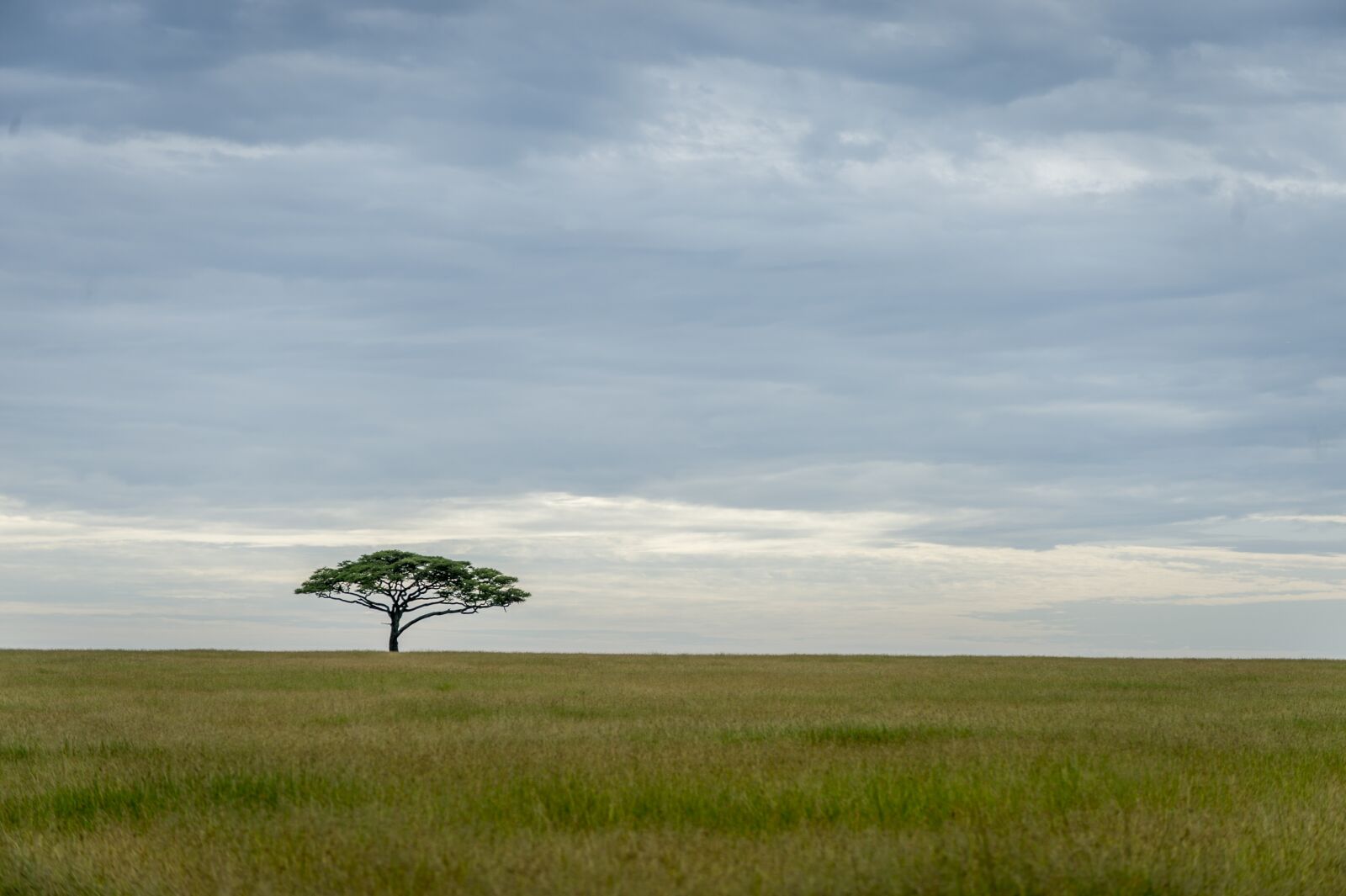 Nikon D4 sample photo. Landscape, africa, nature photography