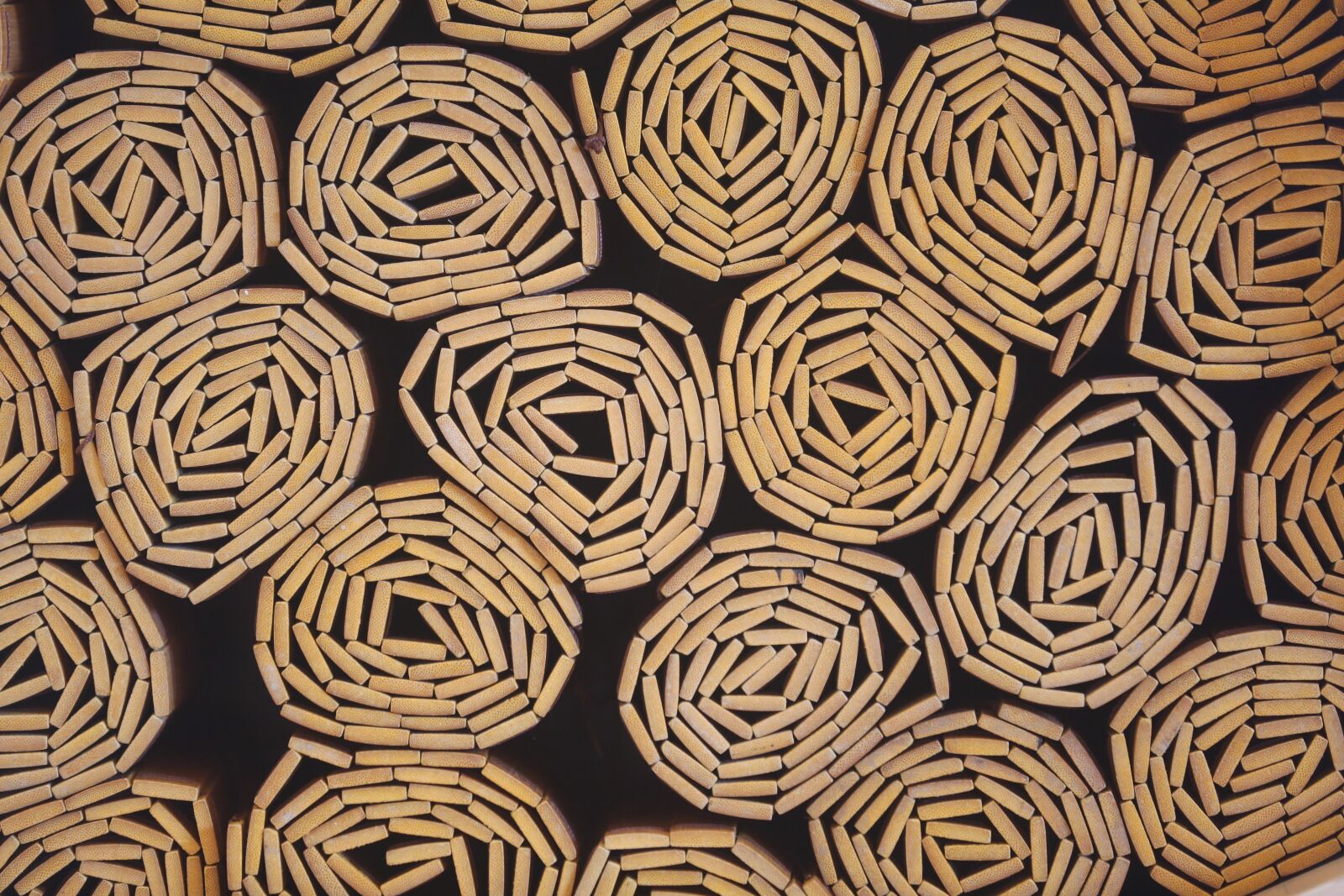 Canon EOS 5D Mark III sample photo. Abstract, art, artistic photography