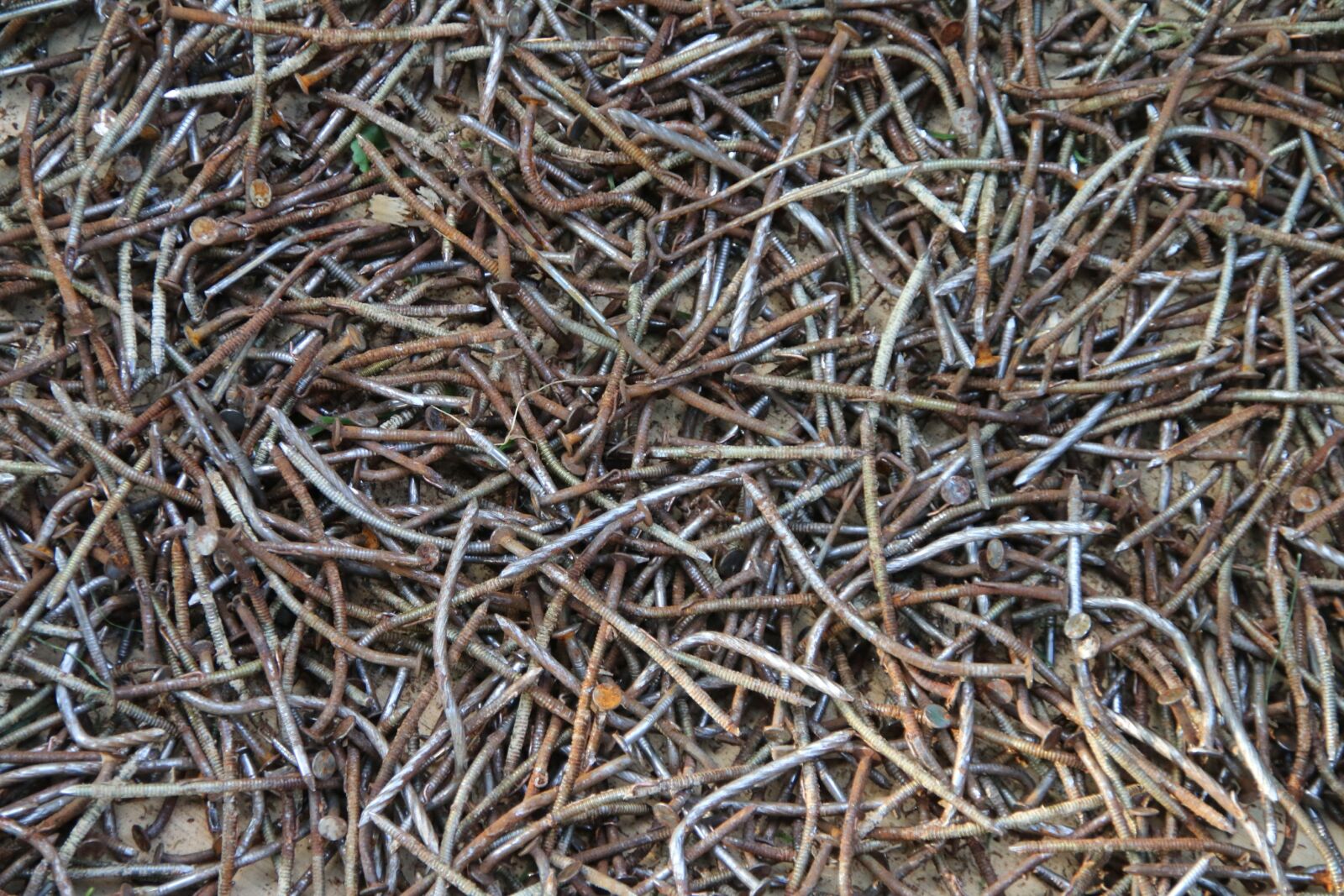 Canon EOS 70D sample photo. Nails, used, rusty photography