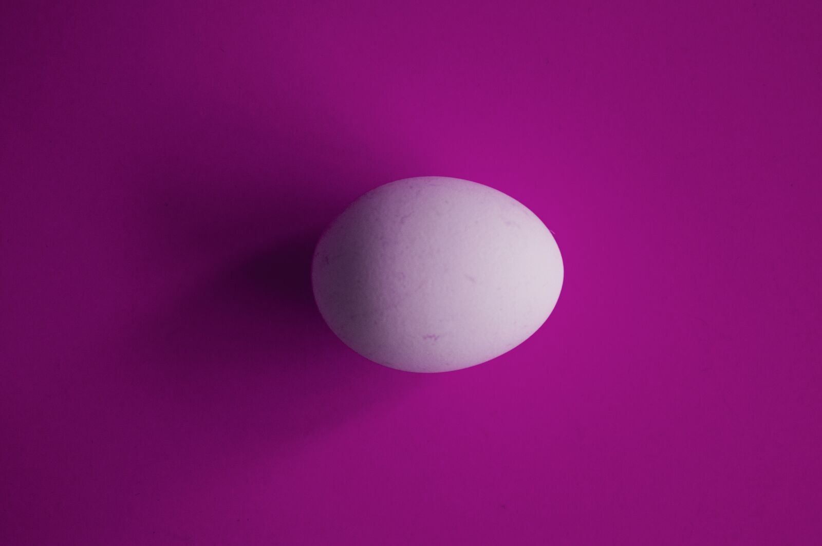 Sony Alpha NEX-5R sample photo. Egg, chicken, easter photography
