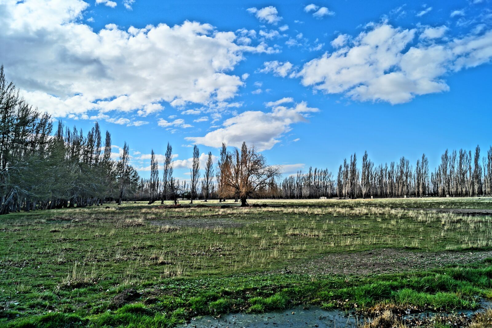 Sony DT 18-55mm F3.5-5.6 SAM II sample photo. Swamp, spring, clouds photography
