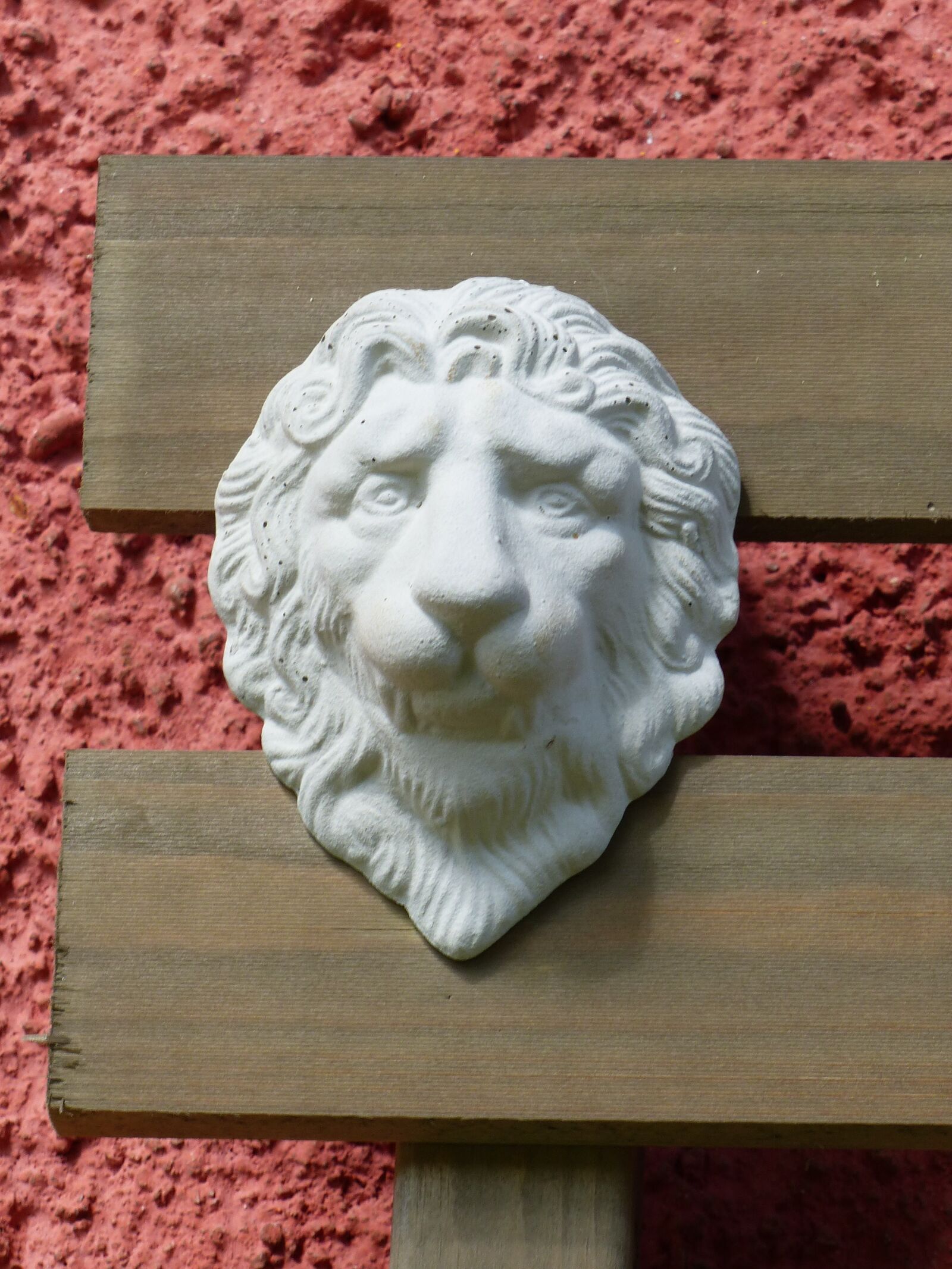 Panasonic Lumix DMC-FZ200 sample photo. Lion, wood, facade photography