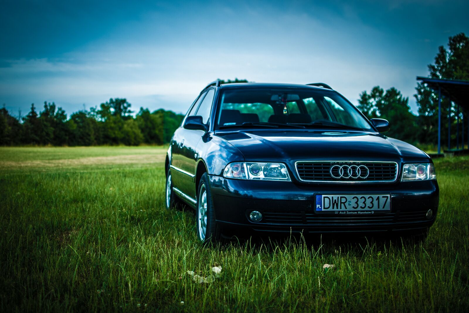 Nikon D60 sample photo. Audi, a4, meadow photography