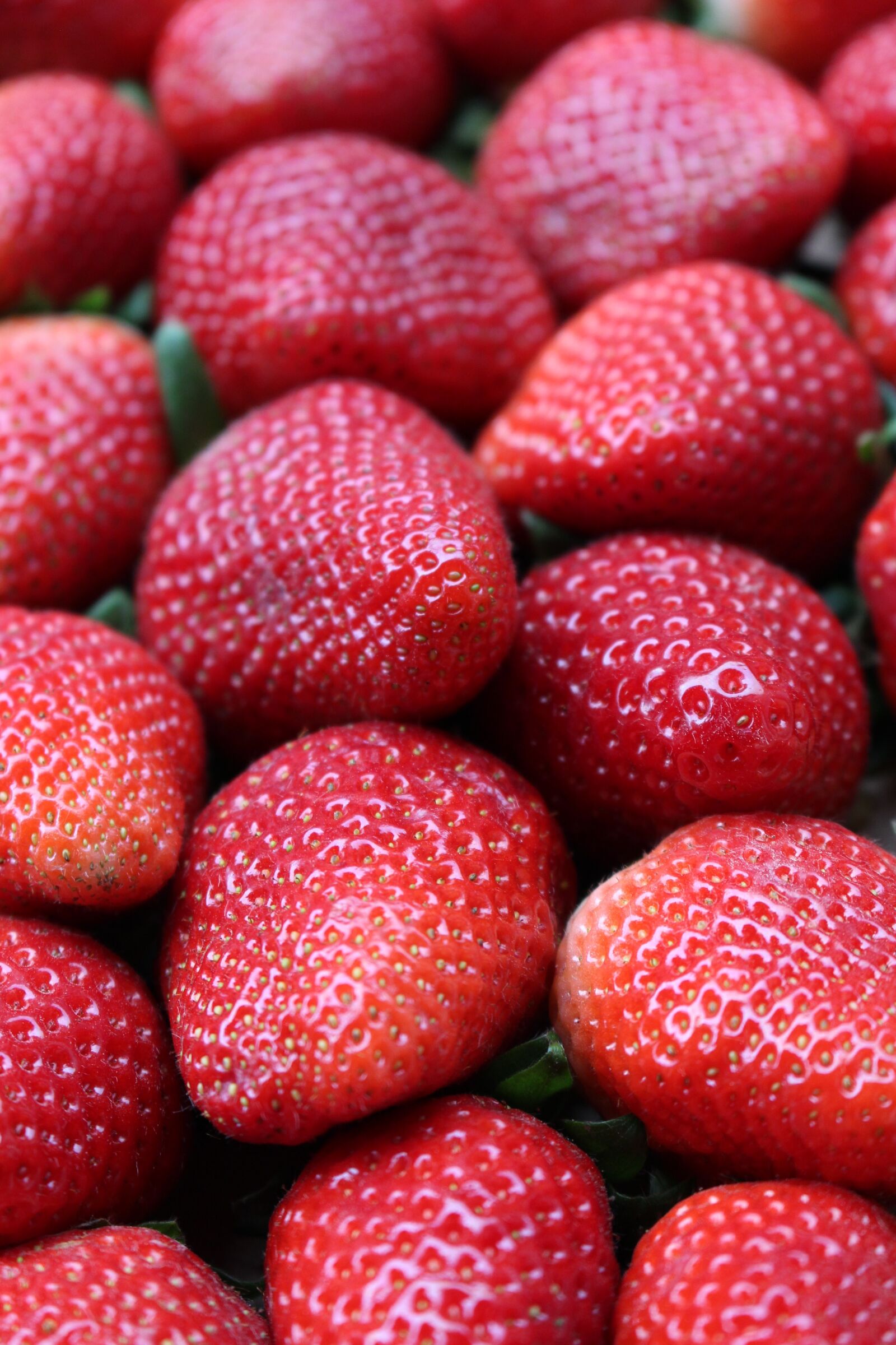 Canon EOS 100D (EOS Rebel SL1 / EOS Kiss X7) sample photo. Strawberries, fruit, red photography
