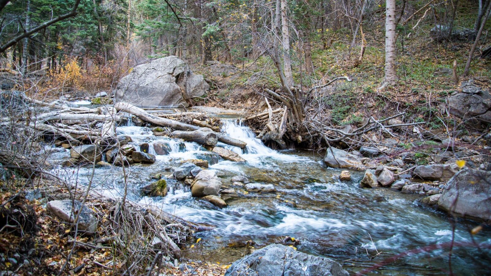 Nikon D610 sample photo. Stream, water, rocks photography