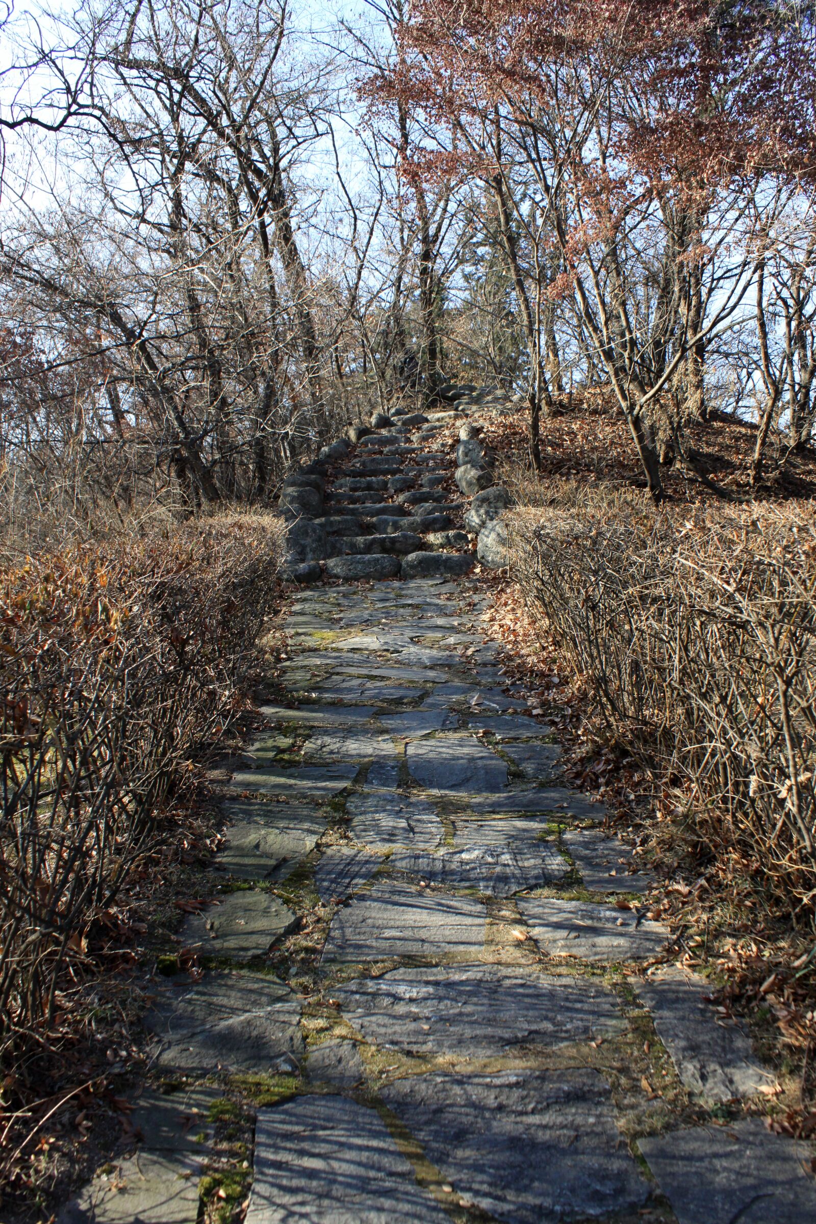 Canon EOS 50D sample photo. Hiking trails, walk, gil photography