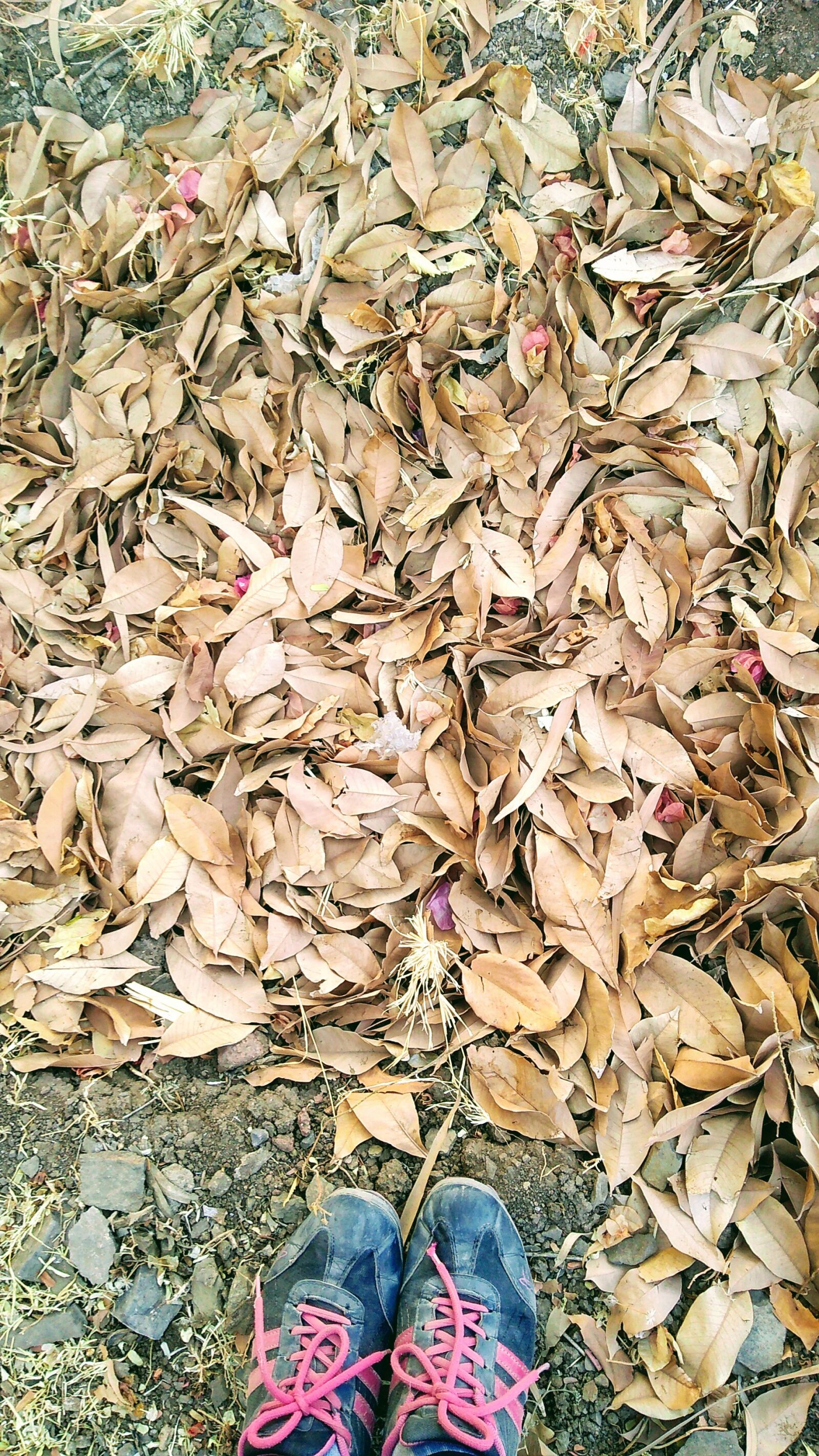 Motorola Moto G (5S) Plus sample photo. Nature, love, fitness photography