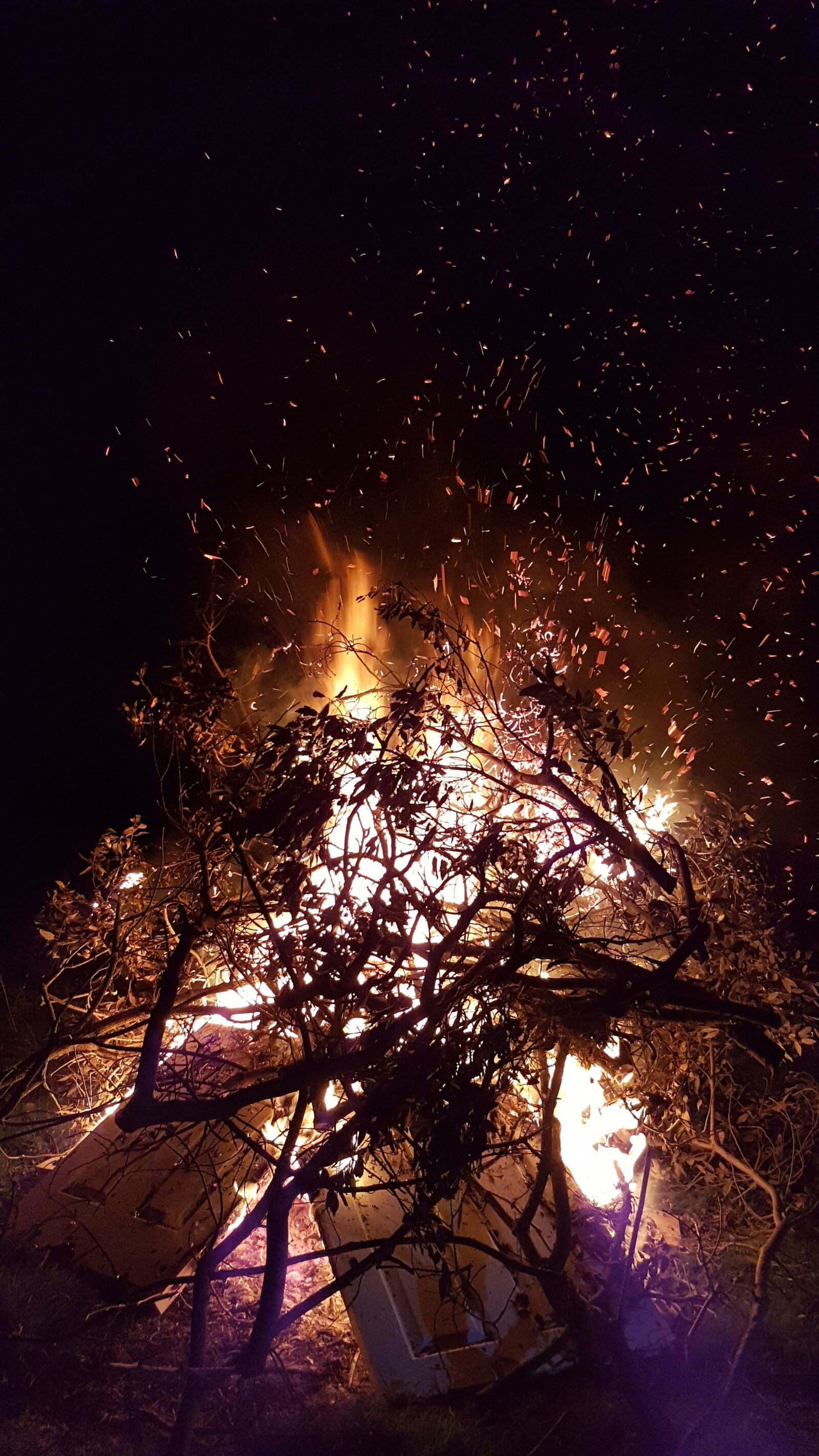 Samsung Galaxy S7 sample photo. Bonfire, fire, night photography