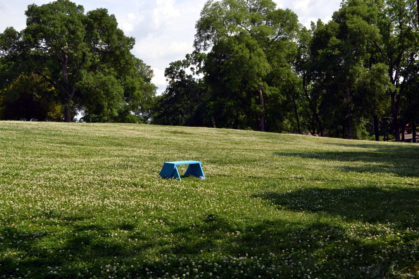 Nikon D3100 sample photo. Summer, grass, seat photography