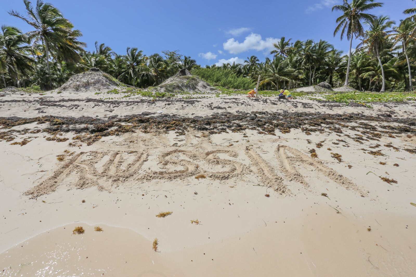 Canon EOS 6D + Canon EF 17-40mm F4L USM sample photo. Dominican republic, sargisova sea photography