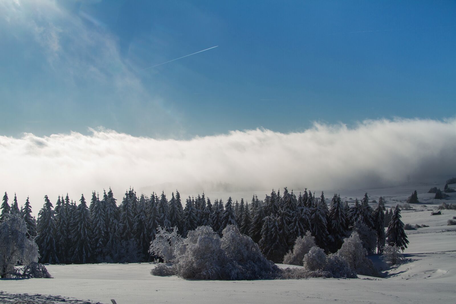 Canon EOS 7D sample photo. Winter, snow, wintry photography