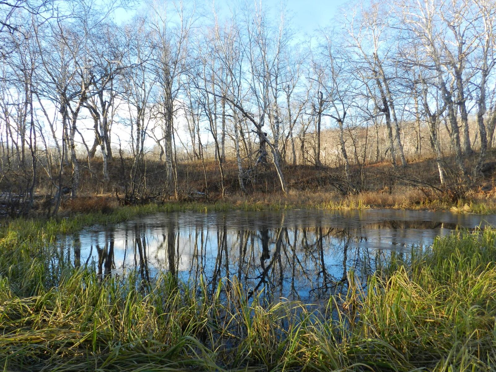 Nikon Coolpix P500 sample photo. Autumn, forest, lake photography