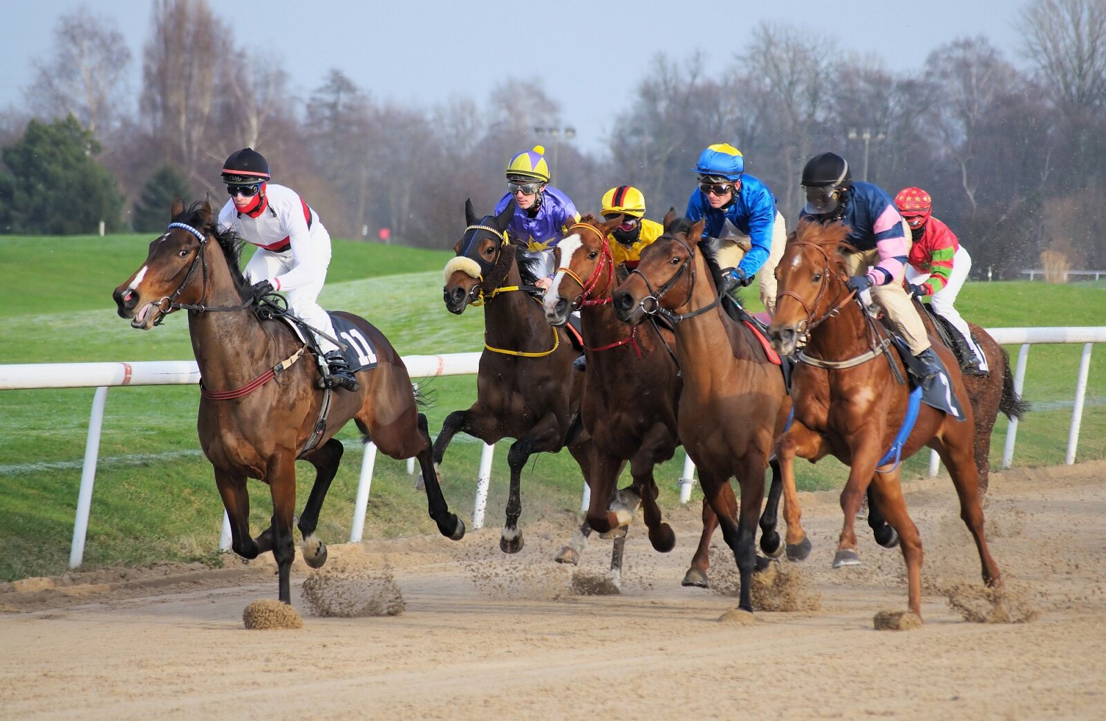 Nikon D90 sample photo. Race track, horse, jockey photography