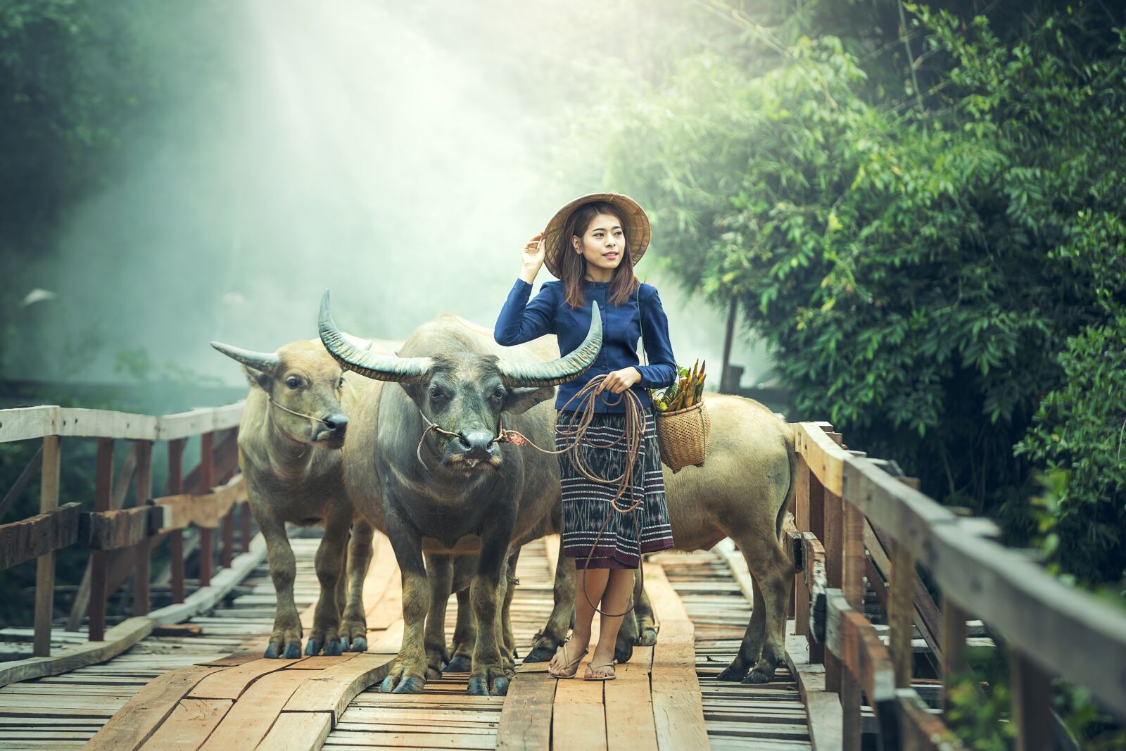 Canon EOS 5D Mark III sample photo. Animals, asia, buffalo photography