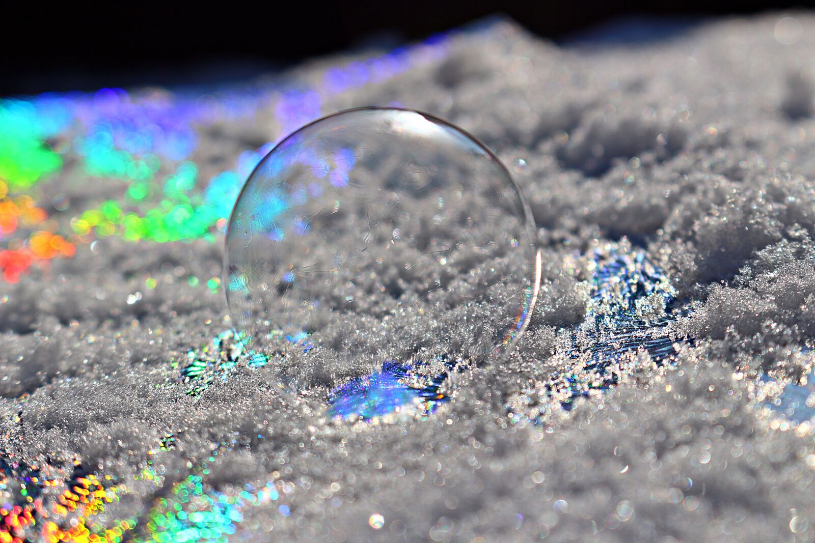 Canon EOS 100D (EOS Rebel SL1 / EOS Kiss X7) sample photo. Frost bubble, soap bubble photography