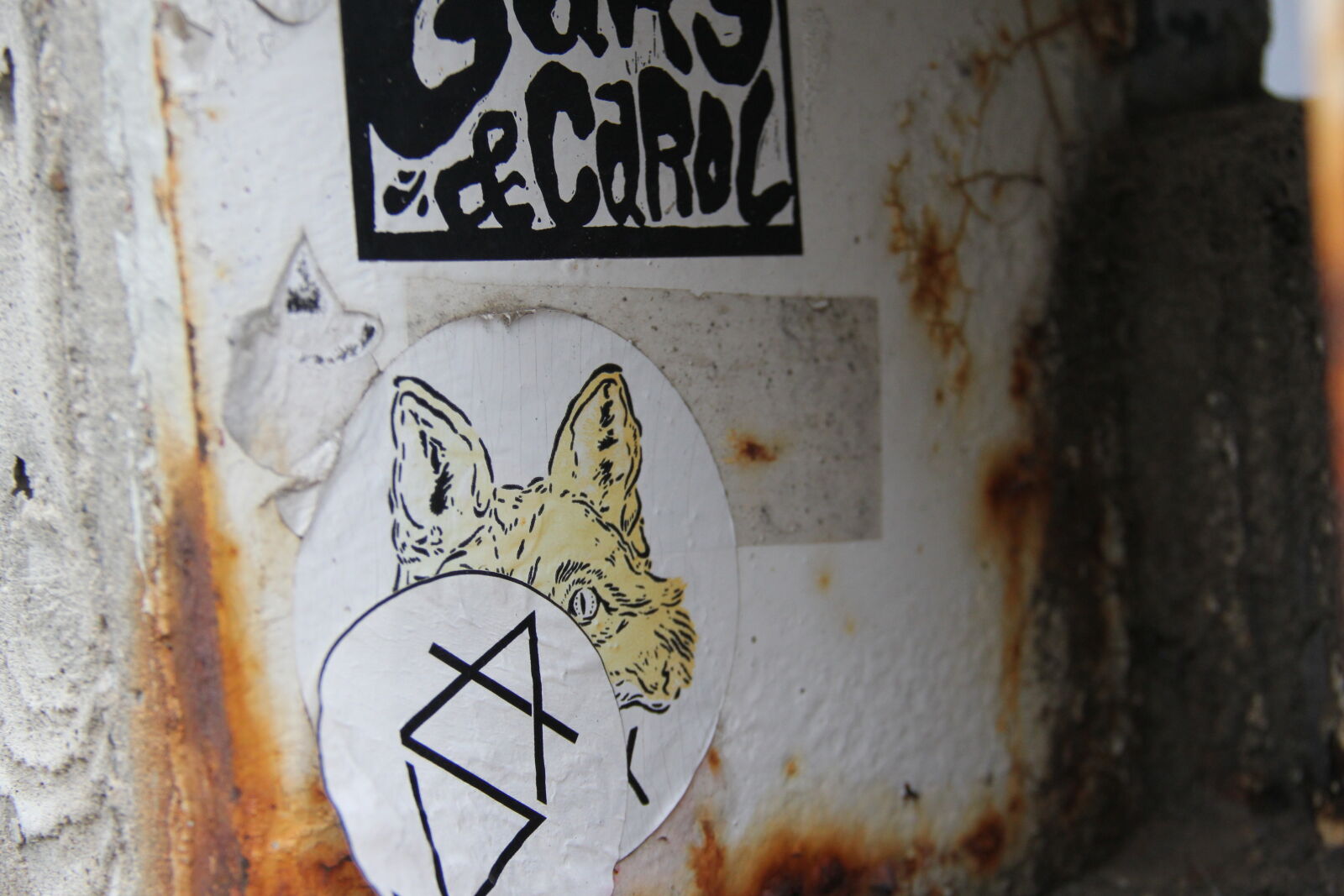 Canon EF-S 18-135mm F3.5-5.6 IS sample photo. Abstract, found, art, fox photography