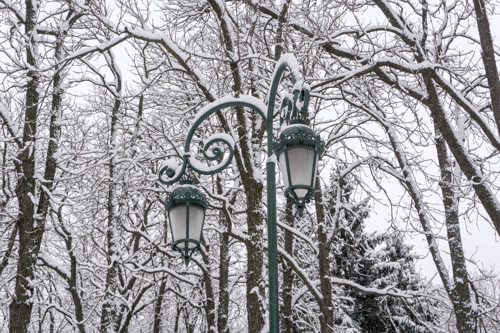 Sony E 16-50mm F3.5-5.6 PZ OSS sample photo. Snow, winter, coldly photography