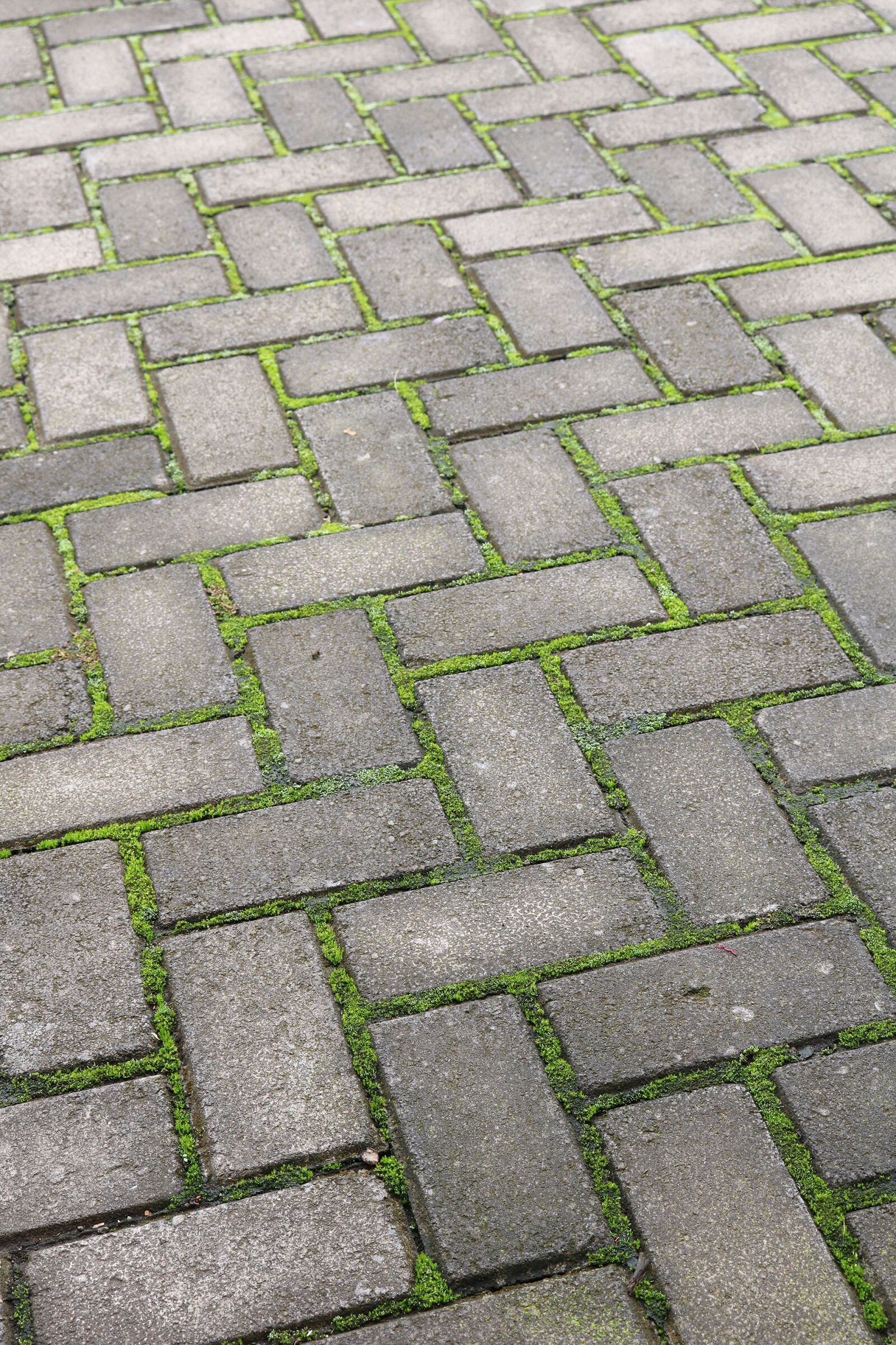 Canon EOS 750D (EOS Rebel T6i / EOS Kiss X8i) sample photo. Stone, pavement, pattern photography